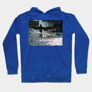 Look, I'm ready to soar Hoodie